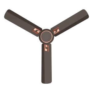 Kinetica BLDC