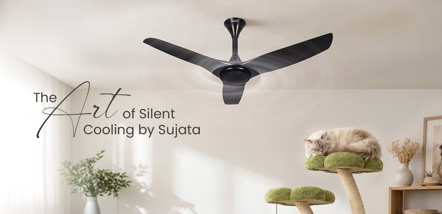 Sujata fans | House of Sujata