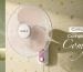 wall mount ceiling fan | House of Sujata
